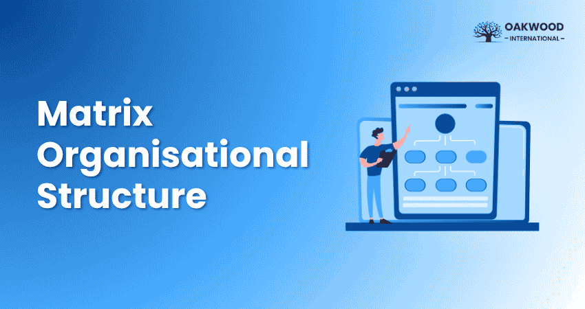 Matrix Organisational Structure