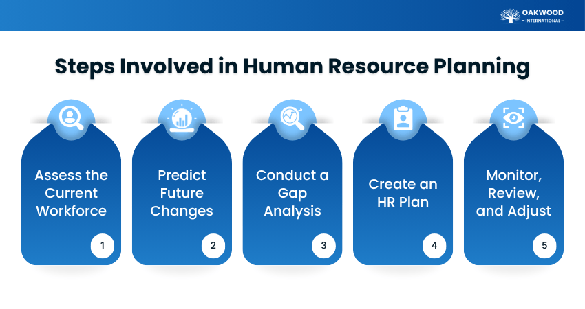 Steps Involved in Human Resource Planning